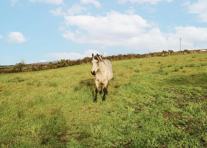 Glenview Log * Ballycastle (Mayo)