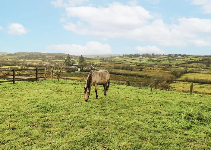 Holiday home Glenview Log