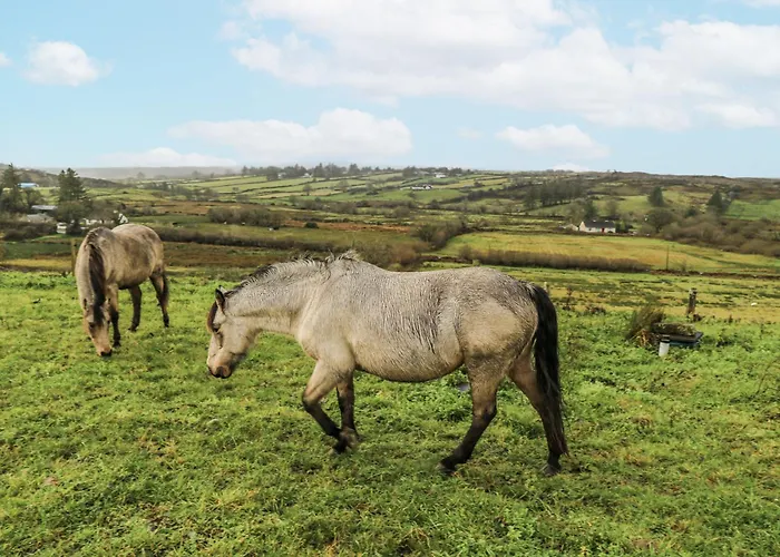 Holiday home Glenview Log