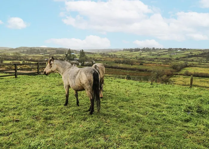 Tatil Evi Glenview Log Ballycastle (Mayo)